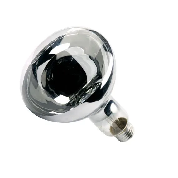 Lâmpada Incandescente De Secagem 250W 220V Ourolux
