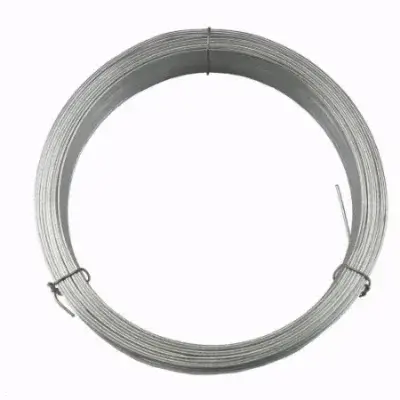 Arame Liso Galvanizado BWG 12 1Kg