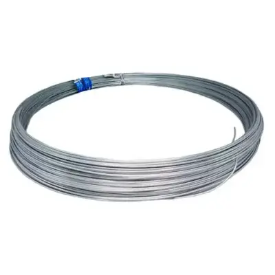Arame Liso Galvanizado BWG 16 1Kg